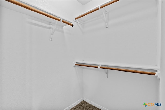 spacious closet featuring carpet