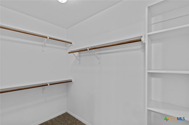 spacious closet with carpet flooring