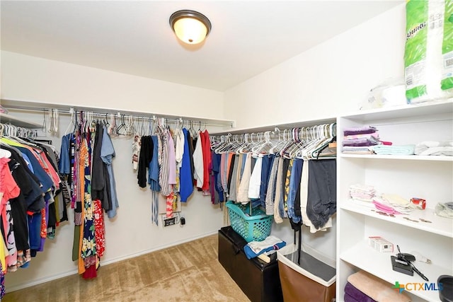 walk in closet with carpet floors