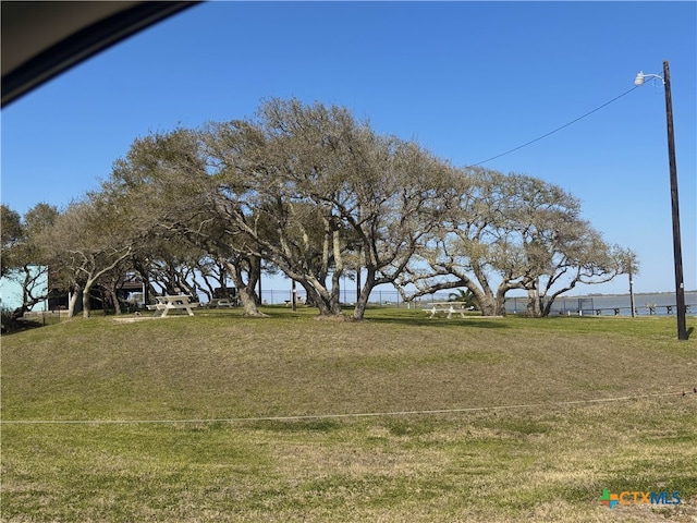 607 W Bayshore Dr, Palacios, TX 77465 - view of yard