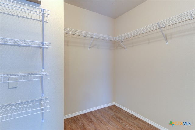 spacious closet featuring wood-type flooring