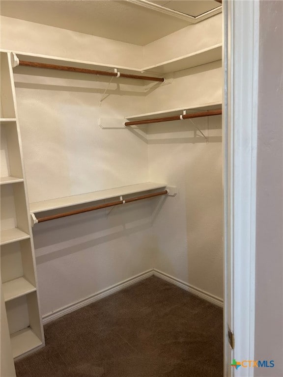 walk in closet featuring dark colored carpet