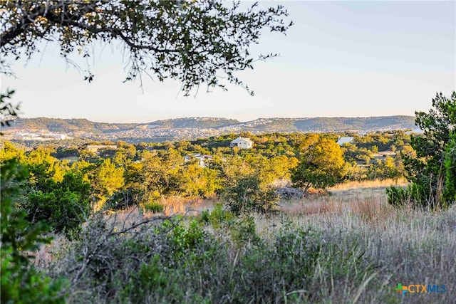 LOT3 Bob Wire Rd, Spicewood TX, 78669 land for sale