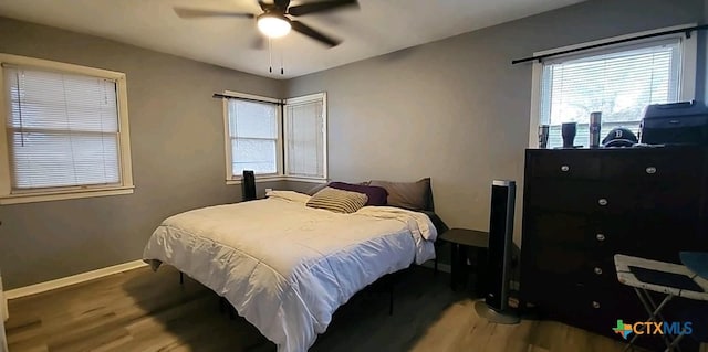 bedroom featuring hardwood / wood-style flooring, ceiling fan, and multiple windows