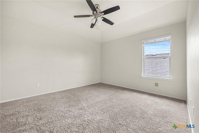 1414 Fawn Lily Dr, Temple, TX 76502 - photo 25