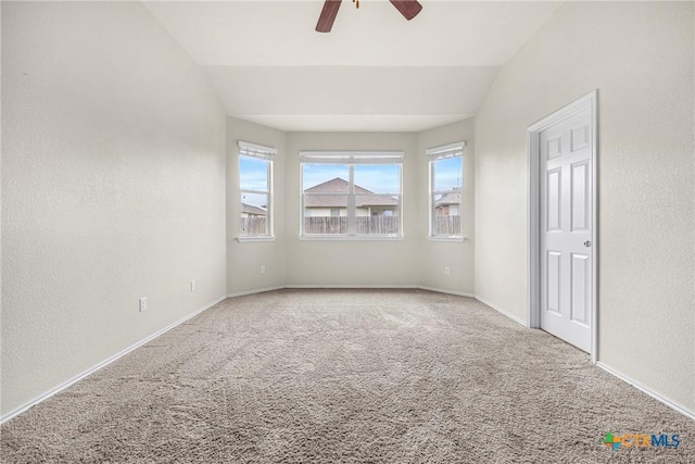 1414 Fawn Lily Dr, Temple, TX 76502 - photo 17