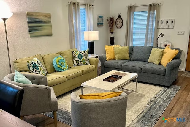 747 Oasis St, New Braunfels, TX 78130 - living area featuring plenty of natural light, wood finished floors, and a textured wall