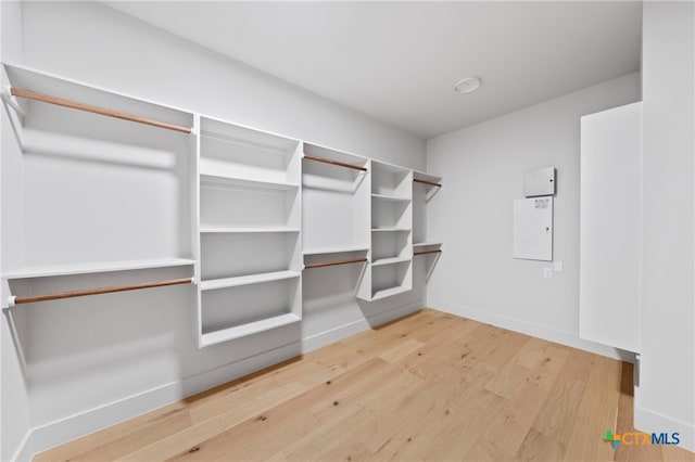 spacious closet with hardwood / wood-style floors