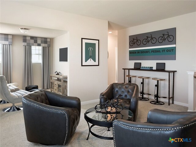 living room featuring carpet flooring