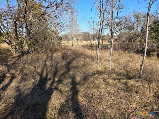 view of landscape featuring a rural view