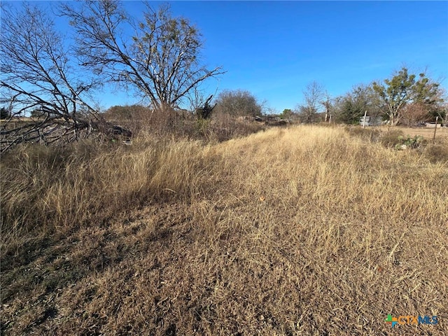 view of local wilderness featuring a rural view