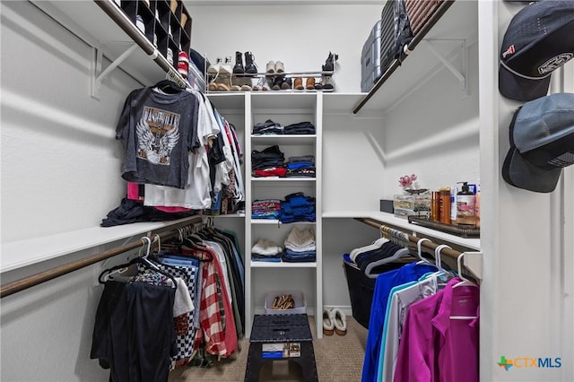965 Ridgeoak Dr, Belton, TX 76513 - spacious closet featuring carpet floors