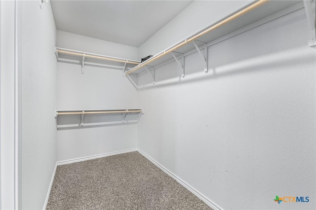5836 Copano Rd, Belton, TX 76513 - spacious closet featuring carpet flooring