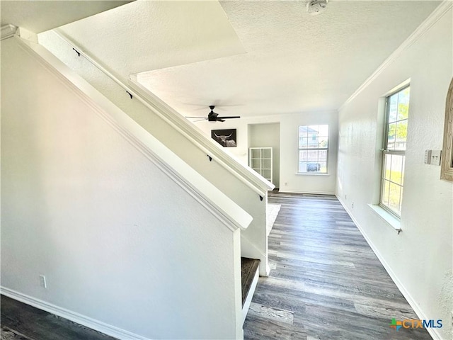 stairway featuring a textured ceiling, ceiling fan, hardwood / wood-style flooring, and crown molding