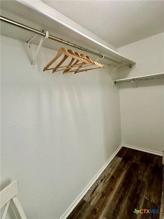 walk in closet with dark hardwood / wood-style flooring