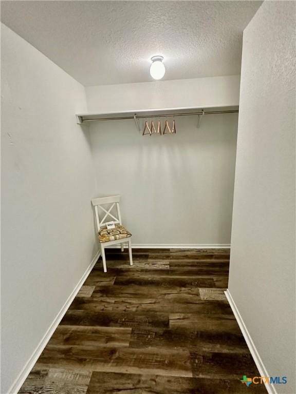 spacious closet with dark wood-type flooring