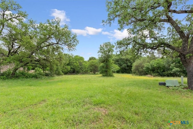 2320 Limestone Ct, Belton, TX 76513 - photo 10