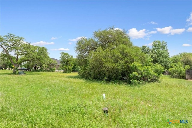 2320 Limestone Ct, Belton, TX 76513 - photo 6