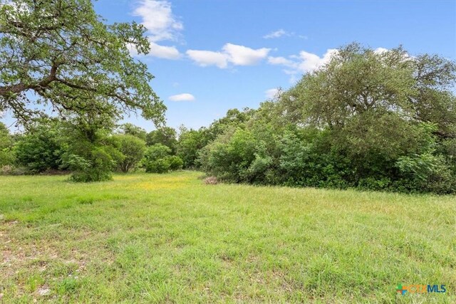 2320 Limestone Ct, Belton, TX 76513 - photo 7