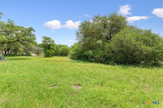 2320 Limestone Ct, Belton, TX 76513 - photo 11