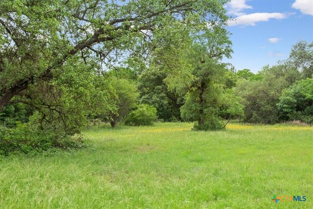 2320 Limestone Ct, Belton, TX 76513 - photo 9
