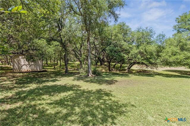 514 Duncan Dr, San Marcos, TX 78666 - view of grassy yard