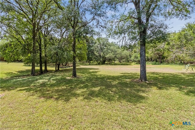 514 Duncan Dr, San Marcos, TX 78666 - view of grassy yard