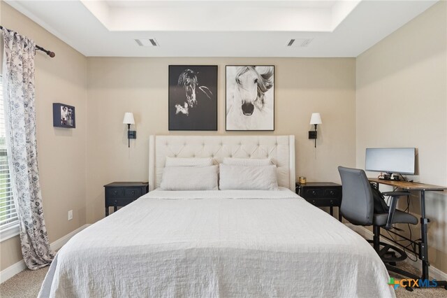 304 Campo Colinas Dr, Bertram, TX 78605 - carpeted bedroom featuring baseboards and a tray ceiling