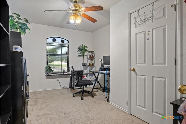 2416 Griffin Dr, Copperas Cove, TX 76522 - office space featuring carpet, a ceiling fan, and baseboards