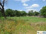 307 Peach, Rockdale, TX 76567 - photo 3
