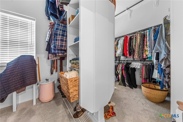 walk in closet with light carpet