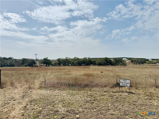 103 Delorean Cir, Burnet TX, 78611 land for sale