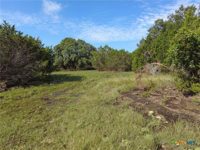 TBD Cr 206, Burnet, TX 78611