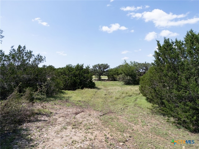 TBD Cr 206, Burnet, TX 78611