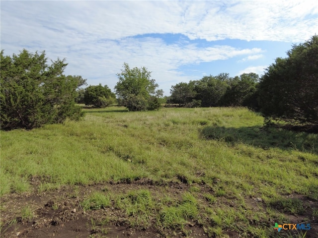 TBD Cr 206, Burnet, TX 78611
