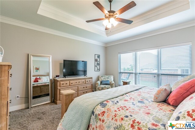 carpeted bedroom featuring crown molding, ceiling fan, and a raised ceiling