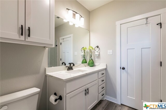 bathroom featuring toilet, vanity, and wood-type flooring