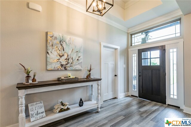 foyer with a high ceiling, hardwood / wood-style flooring, and ornamental molding