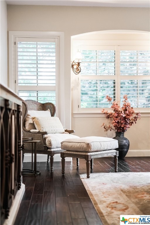 living area with dark wood-type flooring