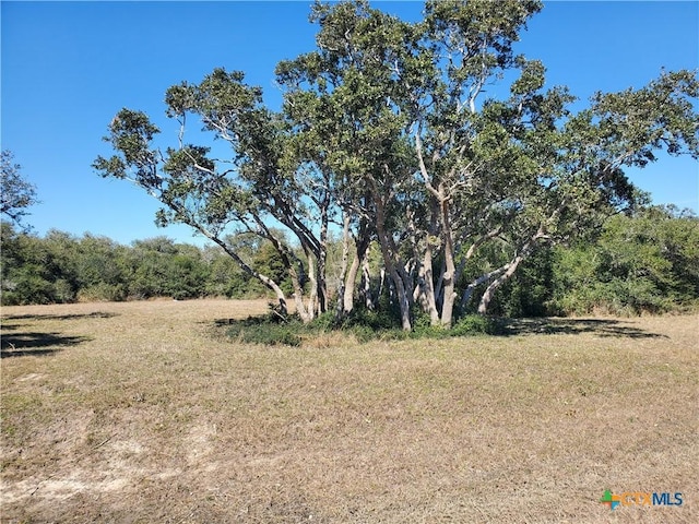 Listing photo 3 for TBD Bayside Dr, Seadrift TX 77983