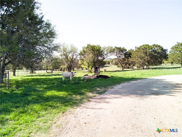 690 County Road 4707, Kempner, TX 76539 - photo 3