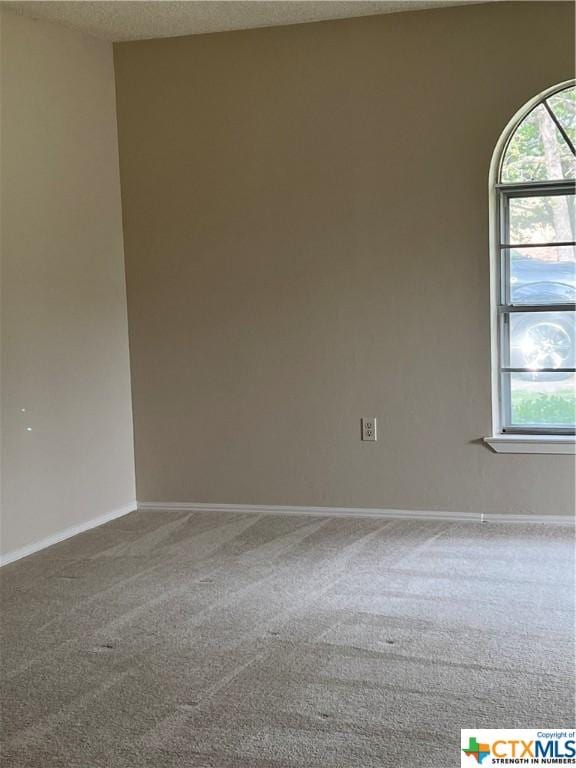 carpeted empty room with a textured ceiling and a wealth of natural light