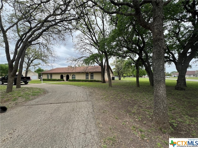 ranch-style home featuring a front yard