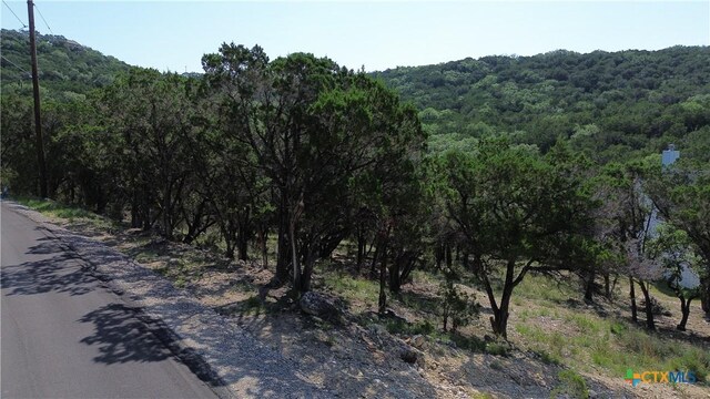 1428 Rockmoor, Canyon Lake, TX 78133 - photo 10