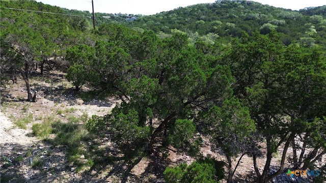 1428 Rockmoor, Canyon Lake, TX 78133 - photo 1
