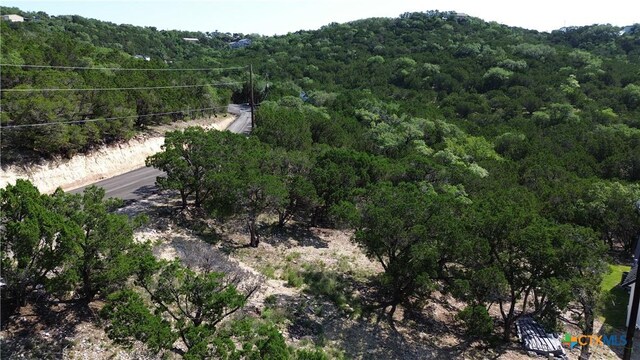 1428 Rockmoor, Canyon Lake, TX 78133 - photo 8