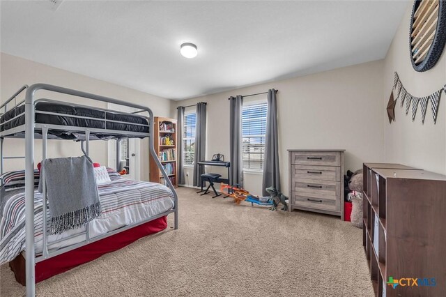 3312 Shawlands Rd, Killeen, TX 76542 - view of carpeted bedroom