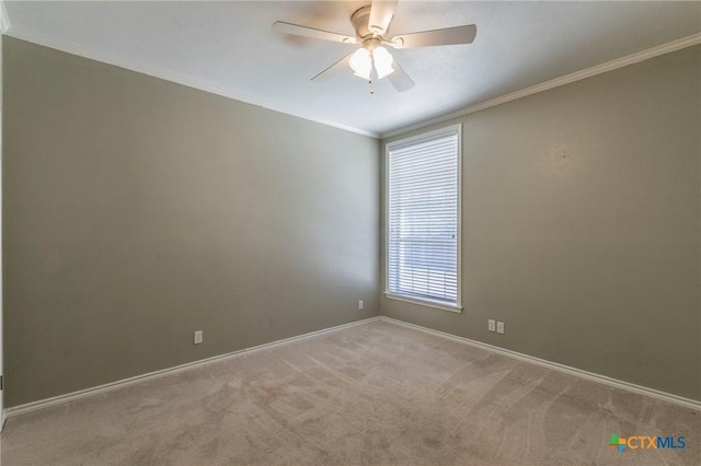 spare room featuring baseboards, ceiling fan, carpet flooring, and crown molding