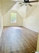 additional living space featuring wood-type flooring and lofted ceiling