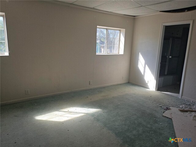 spare room with a paneled ceiling and carpet